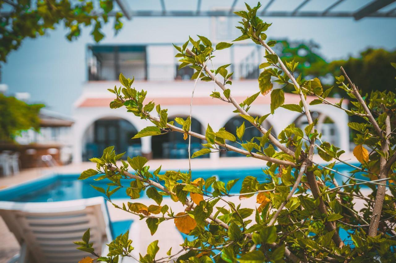 Chrysland Apartment Ayia Napa Bagian luar foto